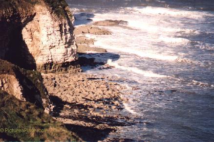 Sea Cliff
